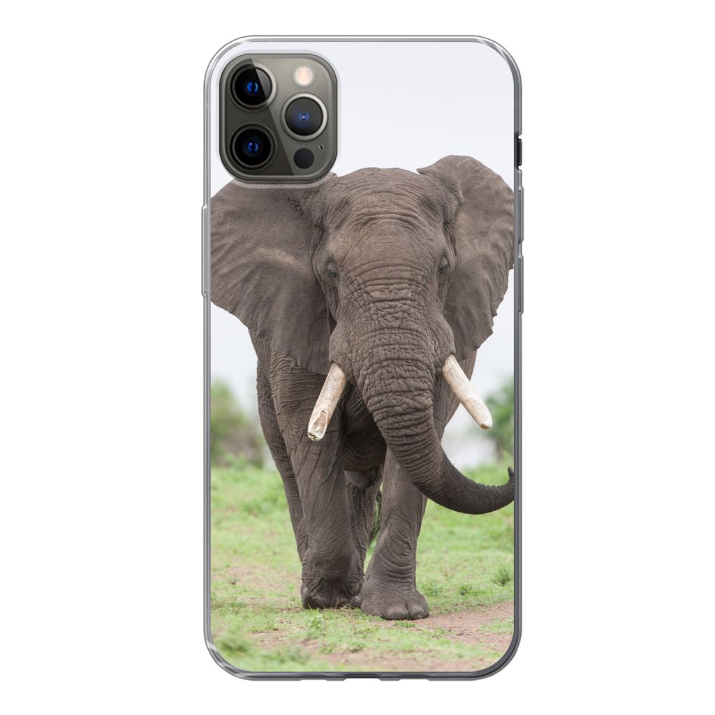 MuchoWow® Handyhülle Schutzhülle Hülle für iPhone 13 Pro Produktbild 