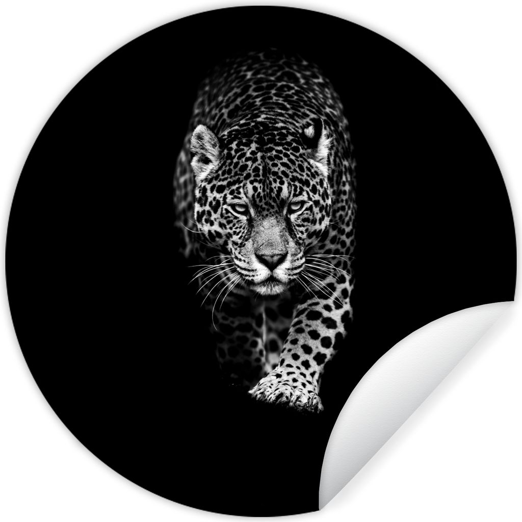 MuchoWow Runde Wandtattoo - Wandsticker Tapete Aufkleber Tiere - Schwarz - Leopard - Weiß - Wild Ø 100 cm Selbstklebend und Repositionierbar - ...