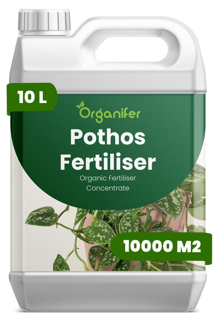 Pothos Flüssigdünger 10L – 2-1-8 NPK – Flüssig-Pflanzendünger für große Zimmerpflanzen, Hängepflanzen & Indoor-Gärten – Organifer