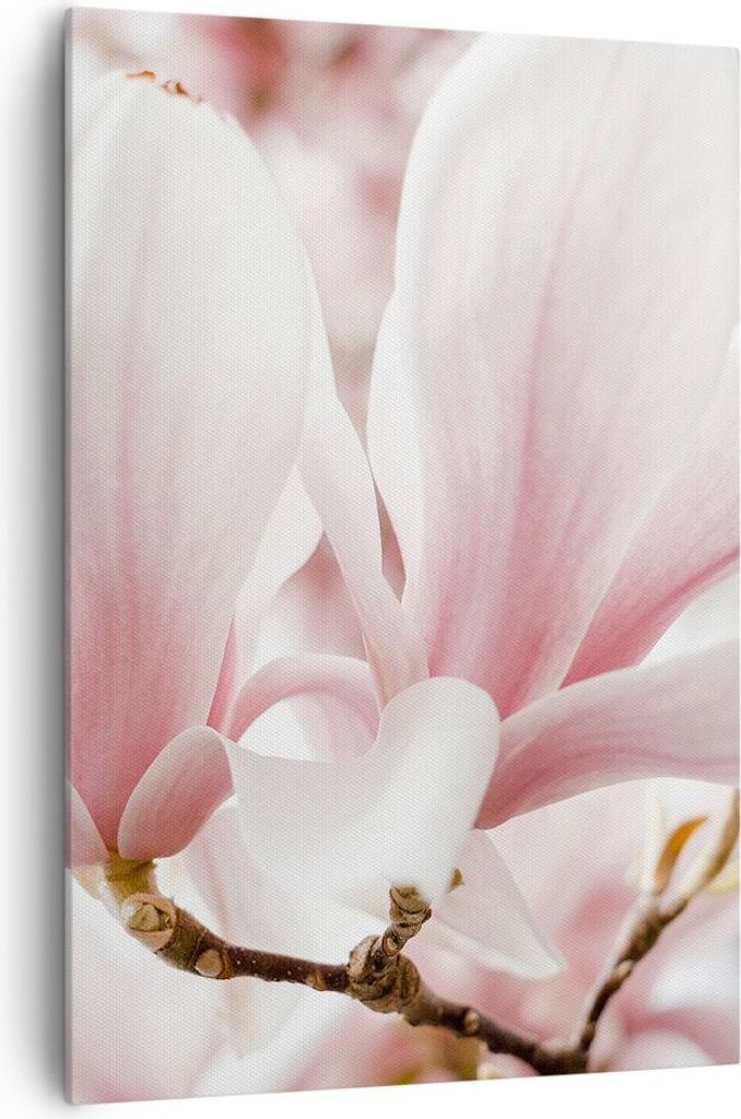 Bild auf Leinwand - Leinwandbild - Einteilig - Zweig Magnolie Blume - 70x100cm - Wand Bild - Wanddeko - Wandbilder - Leinwanddruck - Wanddekoration...