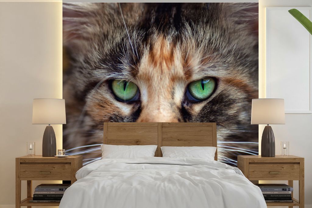 MuchoWow Fototapete für Wohnzimmer oder Schlafzimmer Wandtapete Vinyl Motivtapete Maine Coon Katze mit grünen Augen - 260x260 cm - Papiertapeten