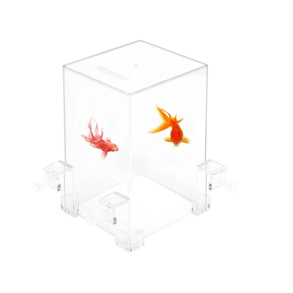 Aquarium suspendu compact pour petit appartement : fini l'encombrement