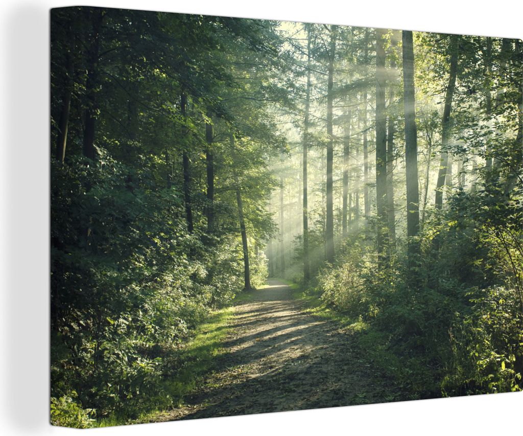 OneMillionCanvasses - Leinwandbilder - 140x90 cm, Wald - Weg - Sonne - Bäume - Grün - Natur, Wandbilder Kunstdruck Wanddekoration - Foto auf Le...