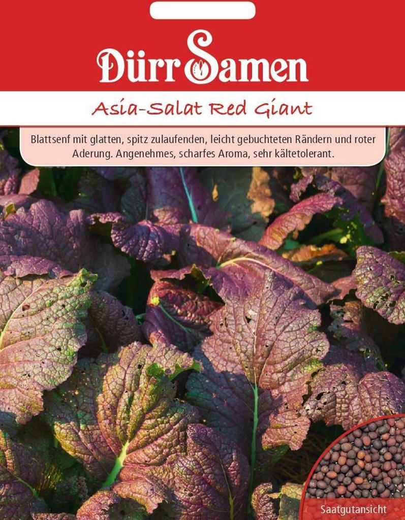 Dürr-Samen - Asia-Salat Red Giant - Saatgut - 1897 Produktbild 