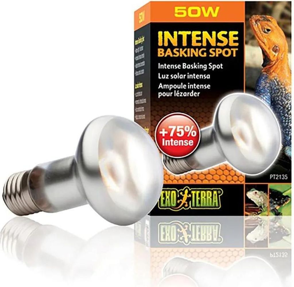 Hagen Exo Terra Compacte Daglichtlamp Sun Glo Spot, R20/50W Productafbeelding 
