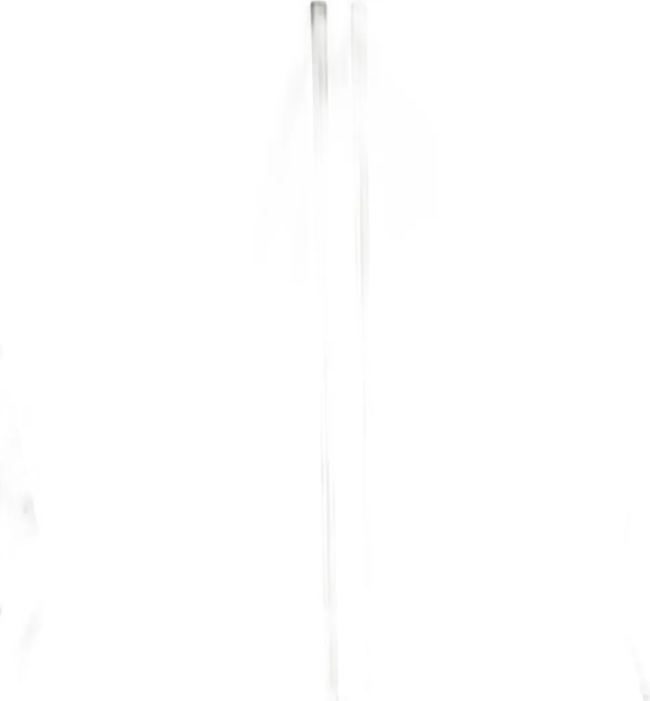Barre à rideaux extensible 183-366 cm avec embouts plats coloris Nickel