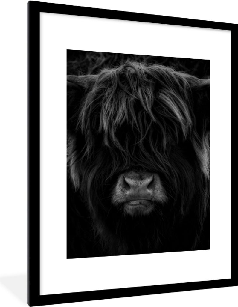 MuchoWow Gerahmtes Poster Schottischer Highlander - Kuh - Schwarz - Weiß - Porträt 60x80 cm - Poster mit Schwarzem Bilderrahmen Wandposter Rahm...