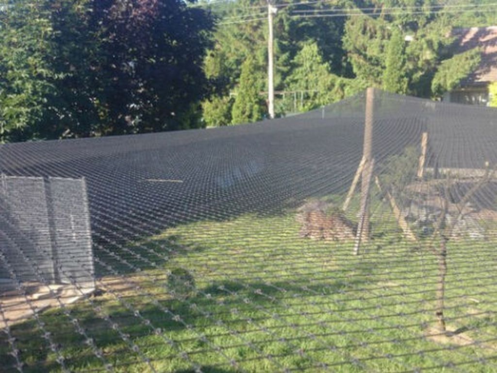 Vogelschutznetz 12 x 25m Laubschutznetz Gartennetz Produktbild 10