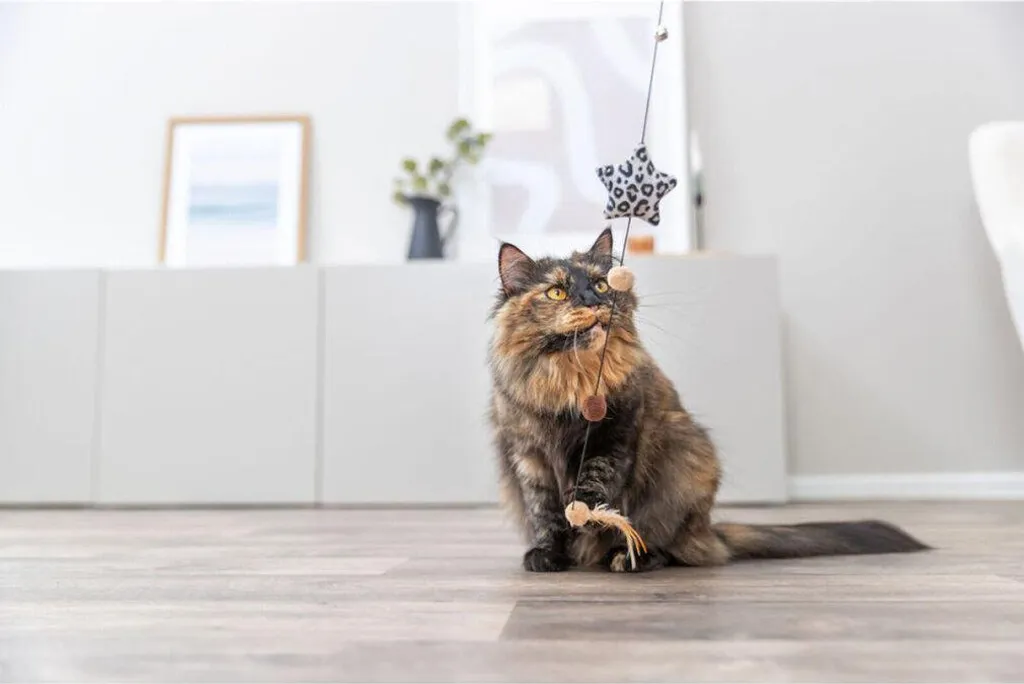 Trixie Giocattolo per Gatti Stella Marrone Beige - Offerta Esclusiva - 5