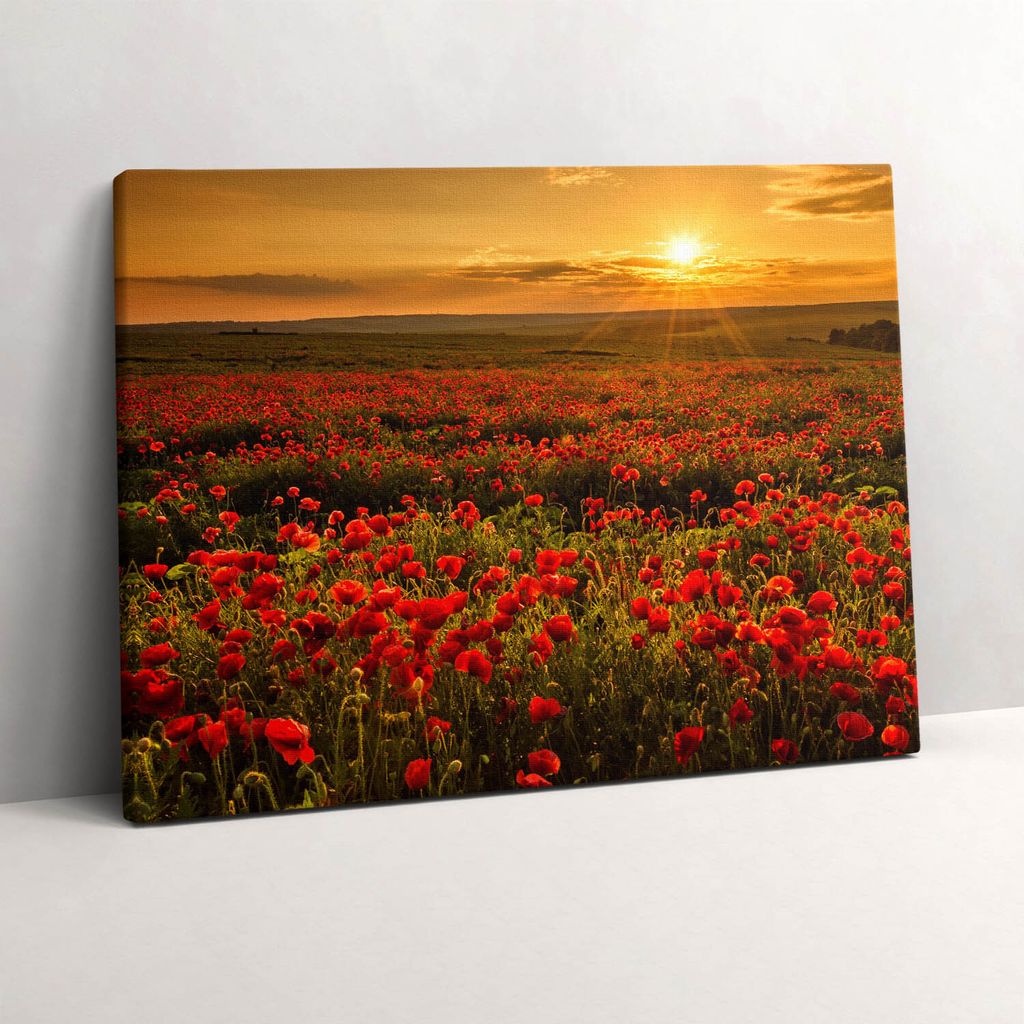 Landschaft mit einer Mohnblumenwiese – Leinwandbild Wandbild – 80x60 cm – Leinwandbilder – Wandbilder – Schlafzimmer – Flur
