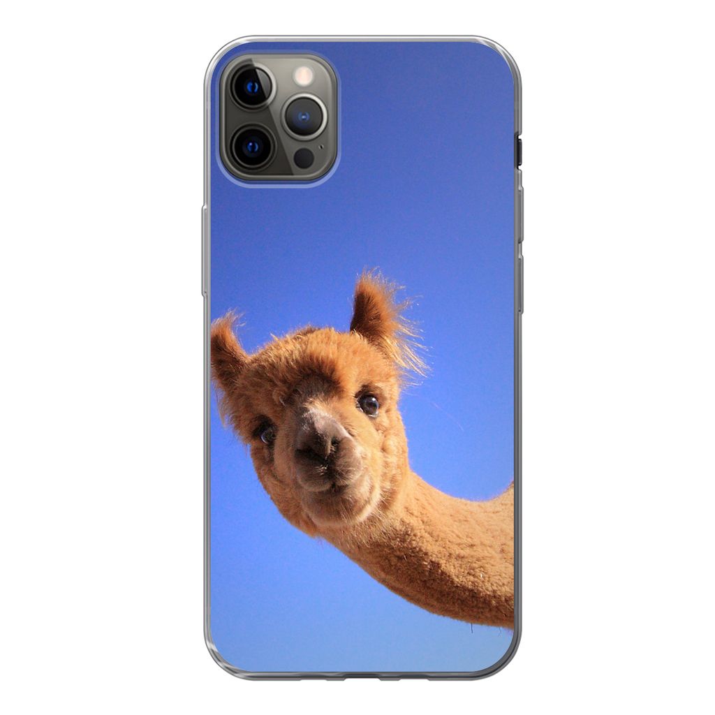 MuchoWow Handyhülle Schutzhülle Hülle für iPhone 12 Pro Max Alpaka - Braun - Blau Silikon Softcase Handy Hülle - Hartschale