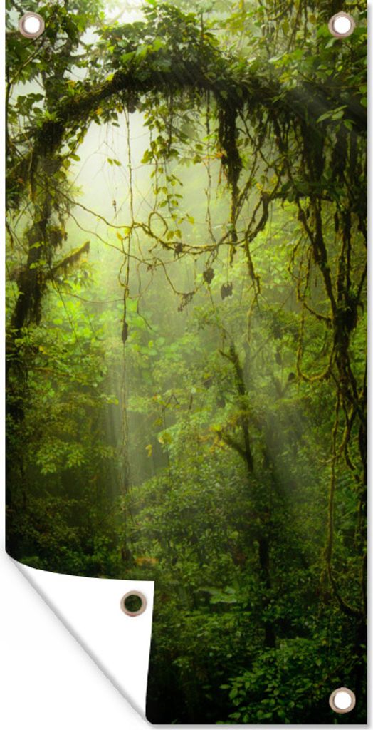 MuchoWow 80x160 cm Outdoor-Poster Gartendeko Sichtschutz Garten Poster für den Garten Grün getöntes Bild des Regenwaldes von Costa Rica