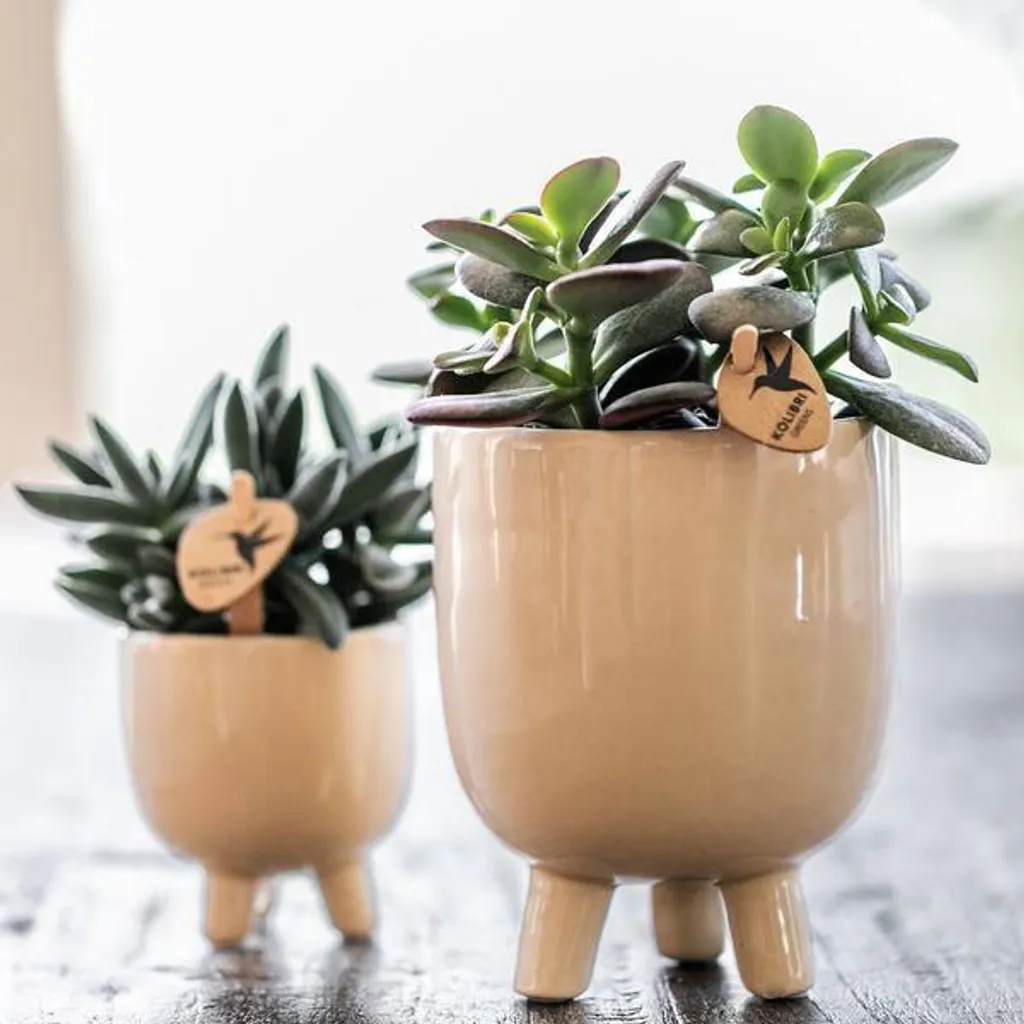 Petit cache-pot travertin 9 cm : Céramique décorative pour plantes - 3