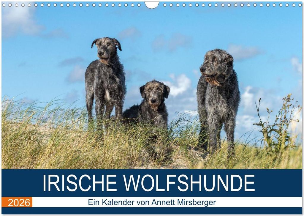 Irische Wolfshunde (Wandkalender 2026 DIN A3 quer), CALVENDO Monatskalender