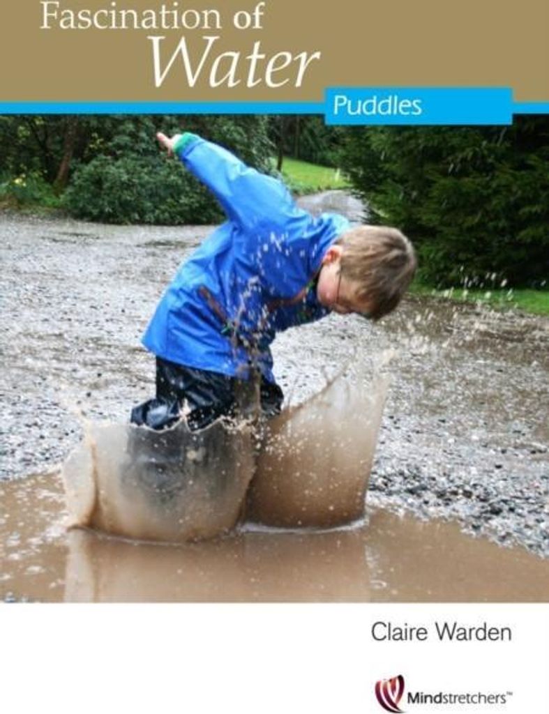 Fascination of Water: Puddles
