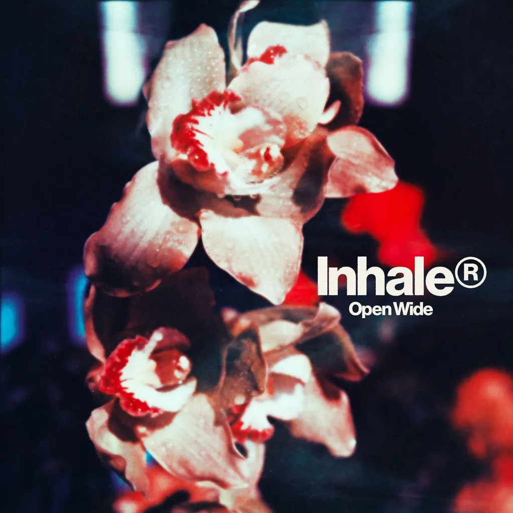 Inhaler Open Wide LP Album Vinyle avec Son Haute Fidélité et Artwork Pro