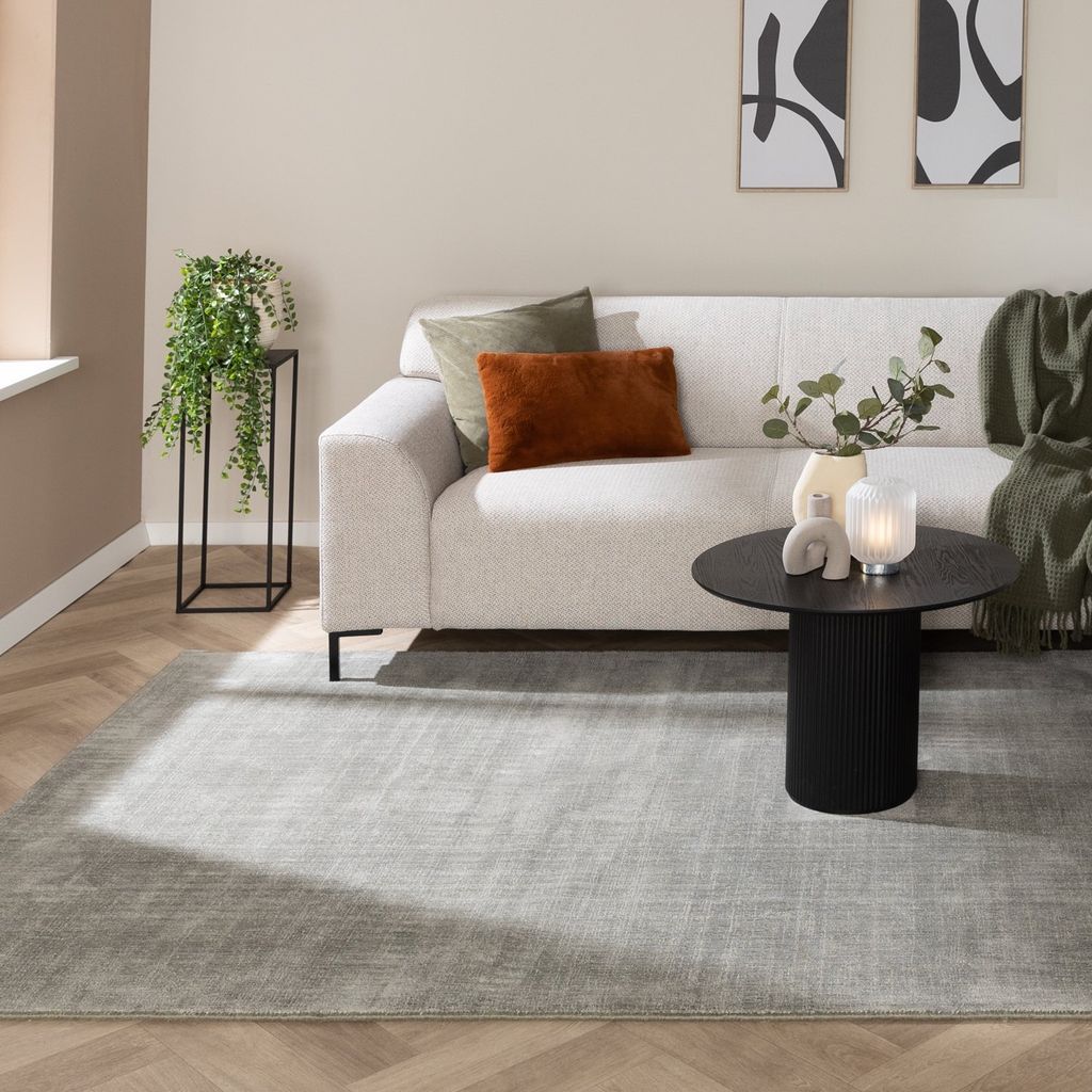 Volero - Viskose Teppich - Jean Mint - 200x290 cm - Wohnzimmer, Esszimmer, Schlafzimmer - Klassik, Ländlich, Modern, Skandinavisch