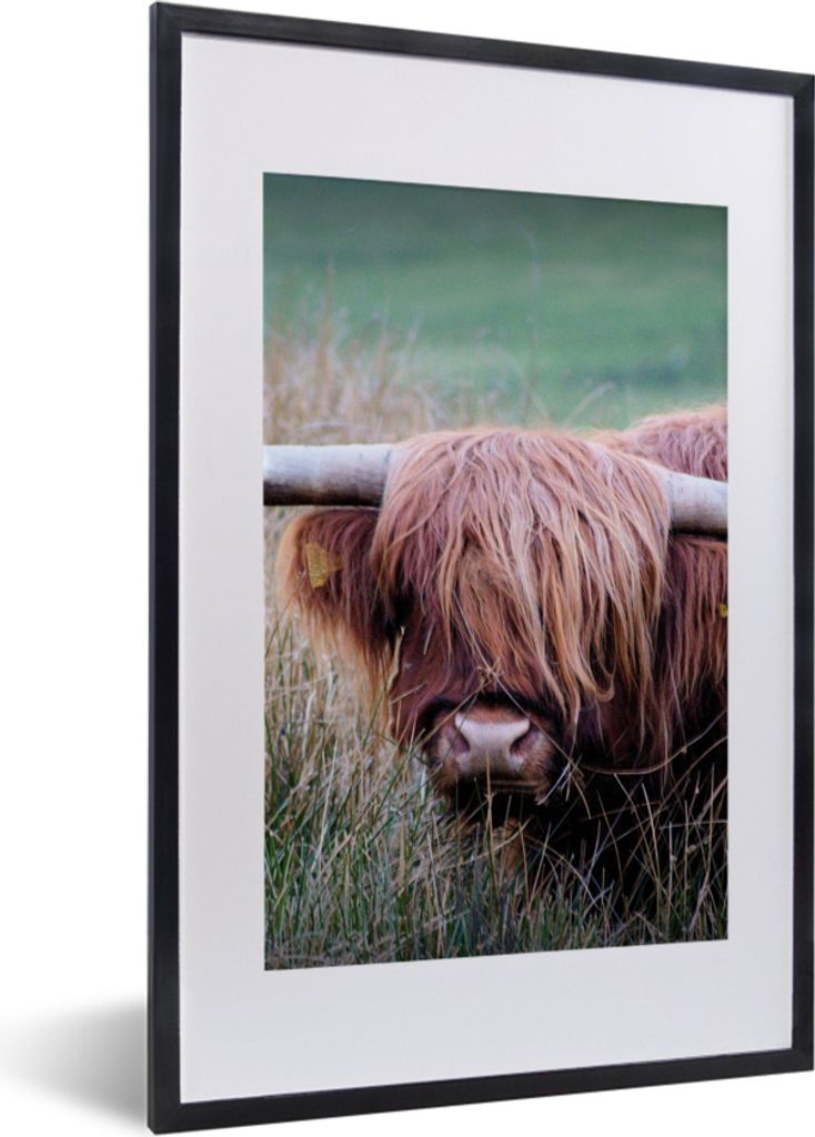 MuchoWow Gerahmtes Poster Schottischer Highlander - Hörner - Gras 40x60 cm - Poster mit Schwarzem Bilderrahmen Wandposter Rahmen Foto Bilder - P...