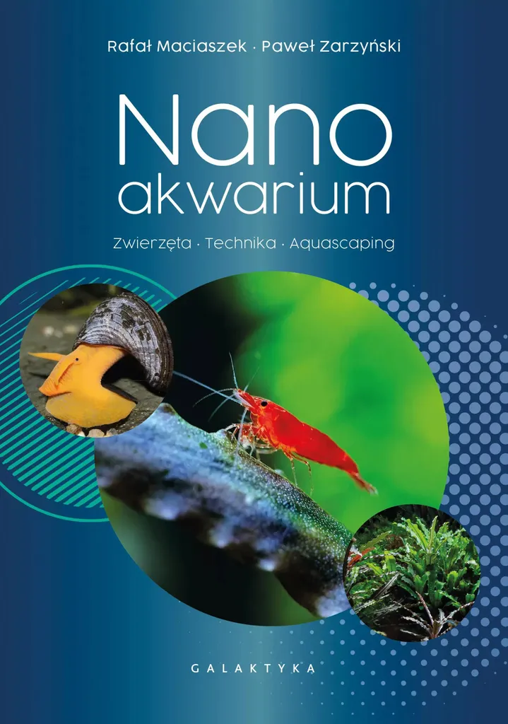 Guide pratique nanoaquarium et aquascaping pour débutant et expert