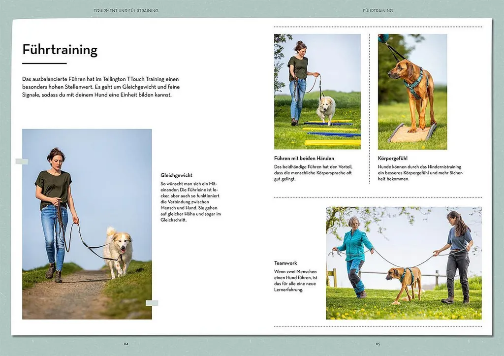 Tellington Training pour Chiens - Solution Anti-Stress et Comportement - 2