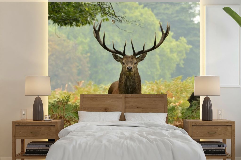 MuchoWow Fototapete für Wohnzimmer oder Schlafzimmer Wandtapete Vinyl Motivtapete Rothirsch - Natur - Grün - 280x280 cm - Hintergrundbild