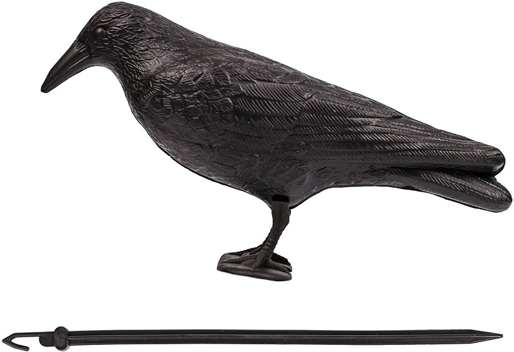 BFG Defenders Raven I Raven Vogelschutzmittel I Bird of Prey Lockvogel