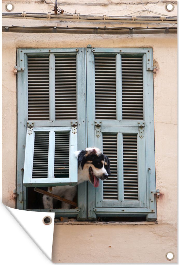 MuchoWow 60x90 cm Outdoor-Poster Gartendeko Sichtschutz Garten Poster für den Garten Hund schaut durch eine Luke