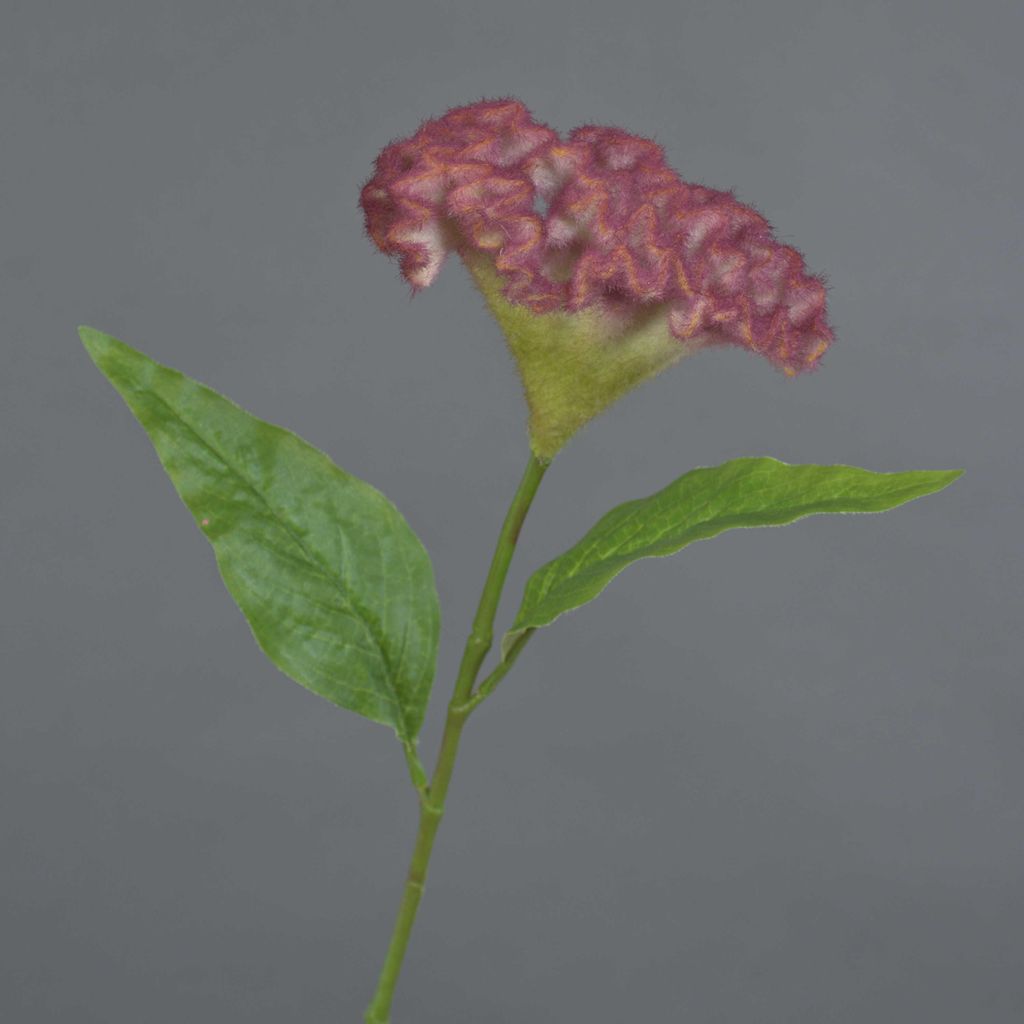 artplants.de Textilblume Hahnenkamm Anubis, pink, 60cm, Ø13cm - Dekoblume/Kunst Celosia cristata