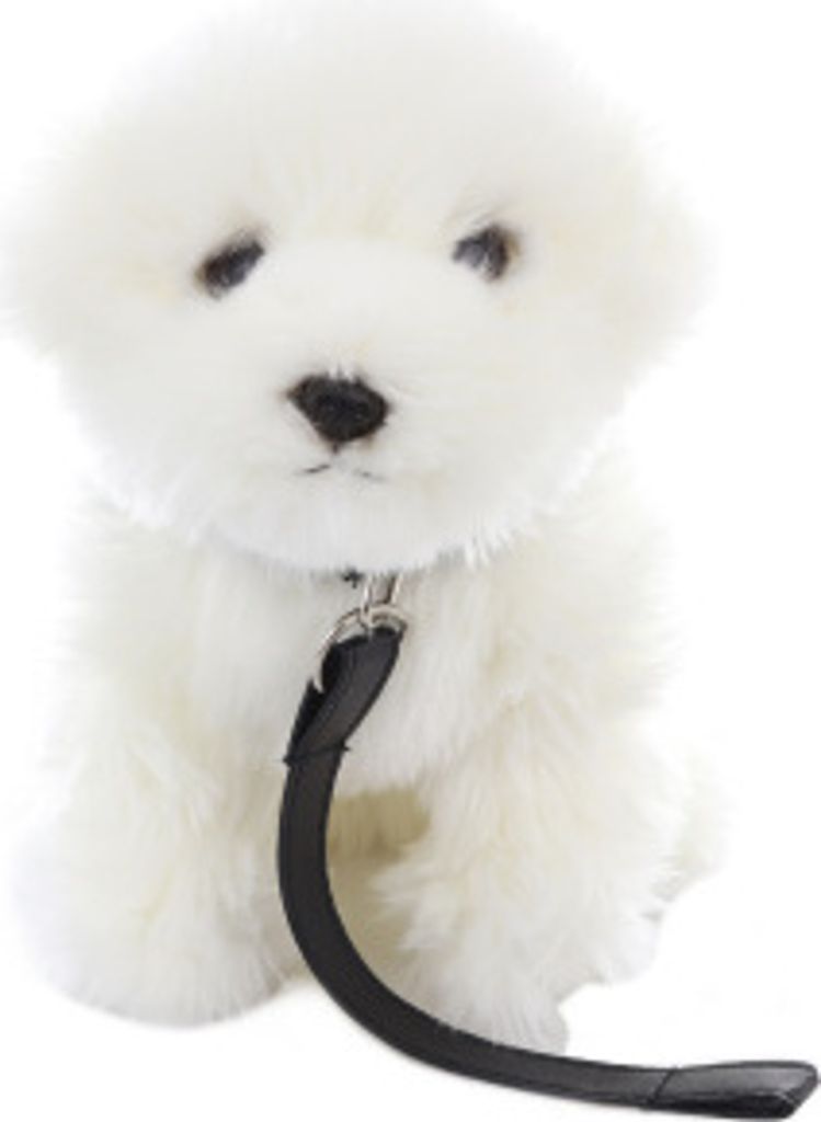Peluche bichon maltais avec laisse 28 cm Image du produit 