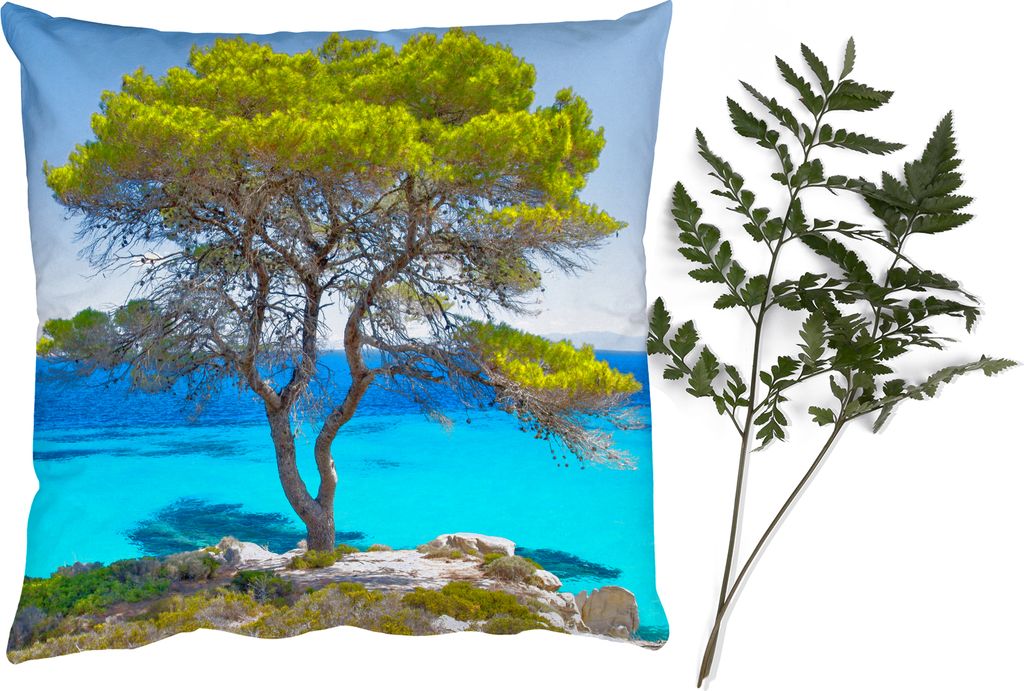 MuchoWow Zierkissen Sofakissen Wohnzimmer Dekokissen 60x60 cm Baum - Meer - Tropisch - Sommer - Sitzfläche - Foto Polster