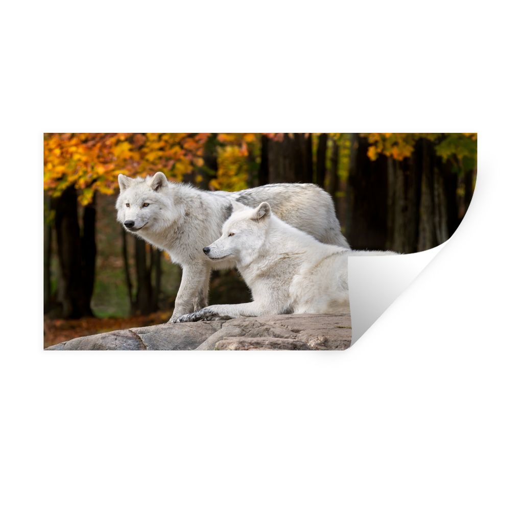 MuchoWow Wandtattoo Wandsticker Wandaufkleber Wölfe - Stein - Wald 40x20 cm Selbstklebend und Repositionierbar - Aufkleber