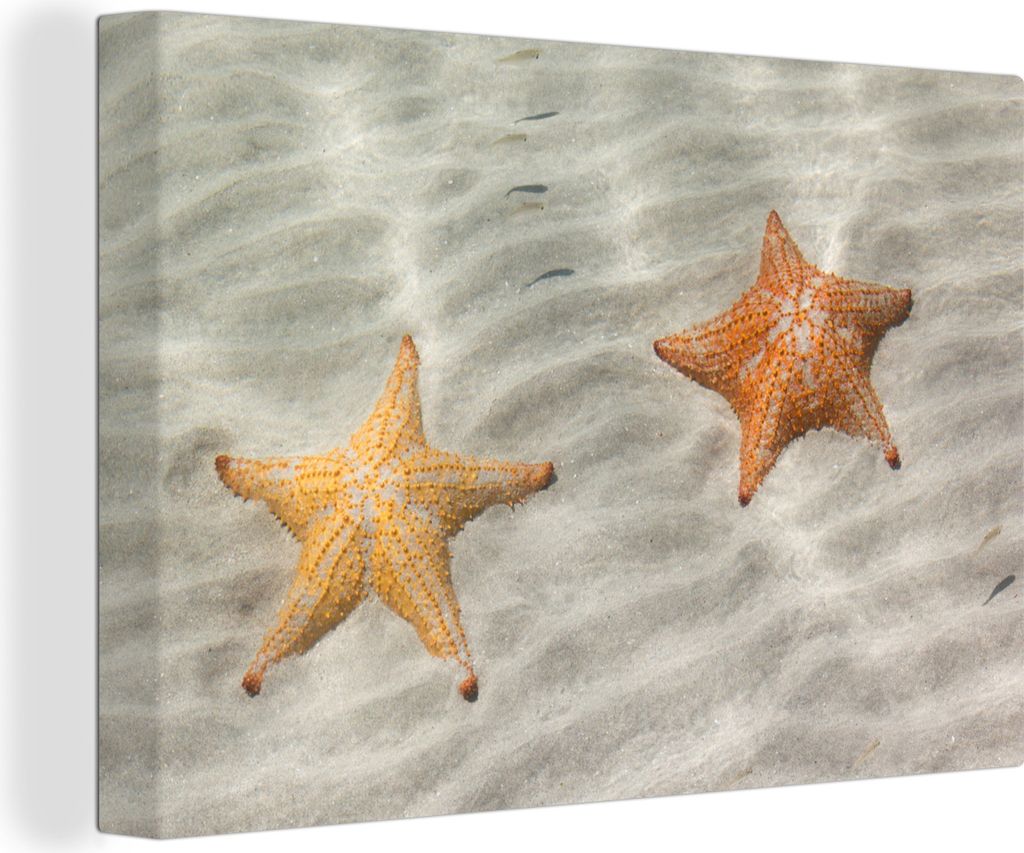 OneMillionCanvasses - Leinwandbilder - 140x90 cm, Seestern - Wasser - Strand, Wandbilder Kunstdruck Wanddekoration - Foto auf Leinwand - Gemälde...