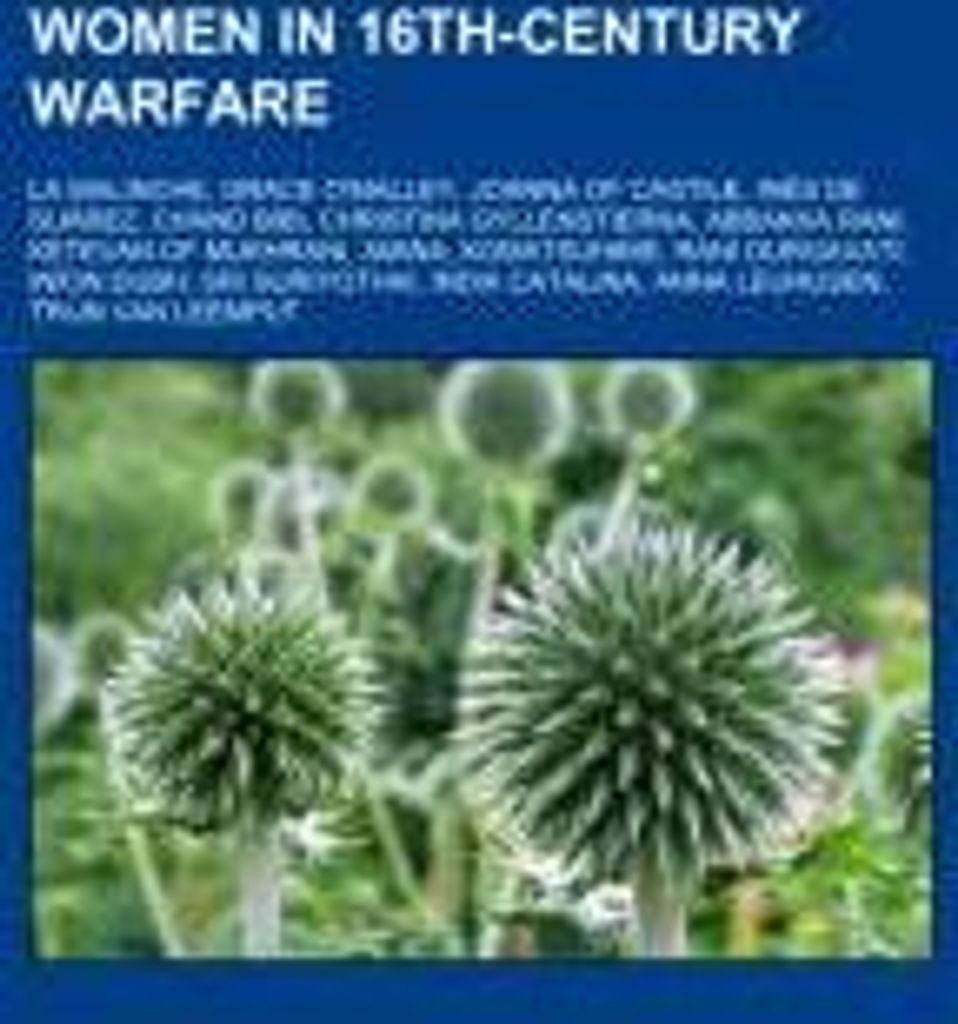 Women in 16th-century warfare