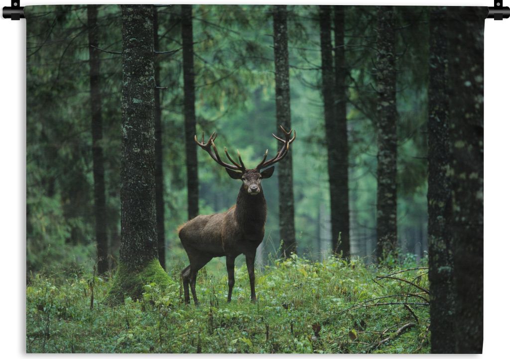 MuchoWow Wandteppich Wandbehang Hirsche - Wald - Bäume - Tiere - Natur 90x67.5 cm Tapisserie Dekoration Wandtuch - Fototeppich - Wand-Skulpturen