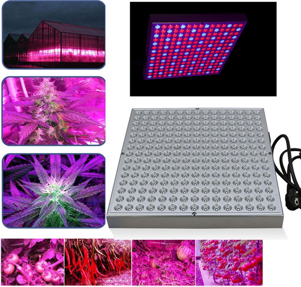 Peviasot 15W LED Zimmerpflanzen Pflanzenlampe Grow Lampe Pflanzenlicht Wachstumslampe