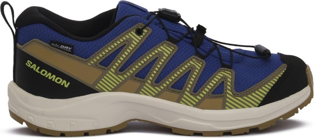 Schuhe Salomon XA Pro V8 491087