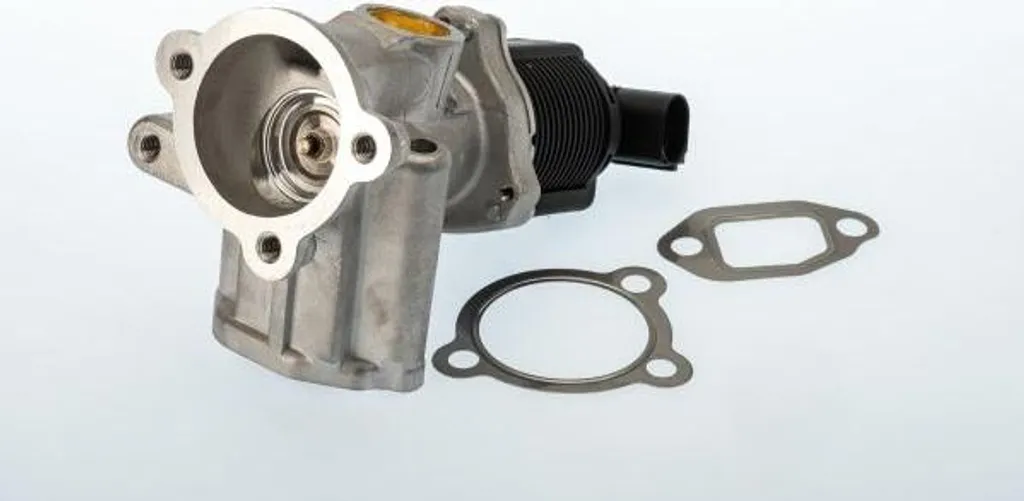 Vanne EGR BorgWarner Wahler 710773D/1 OE 55195196 pour Opel et Fiat