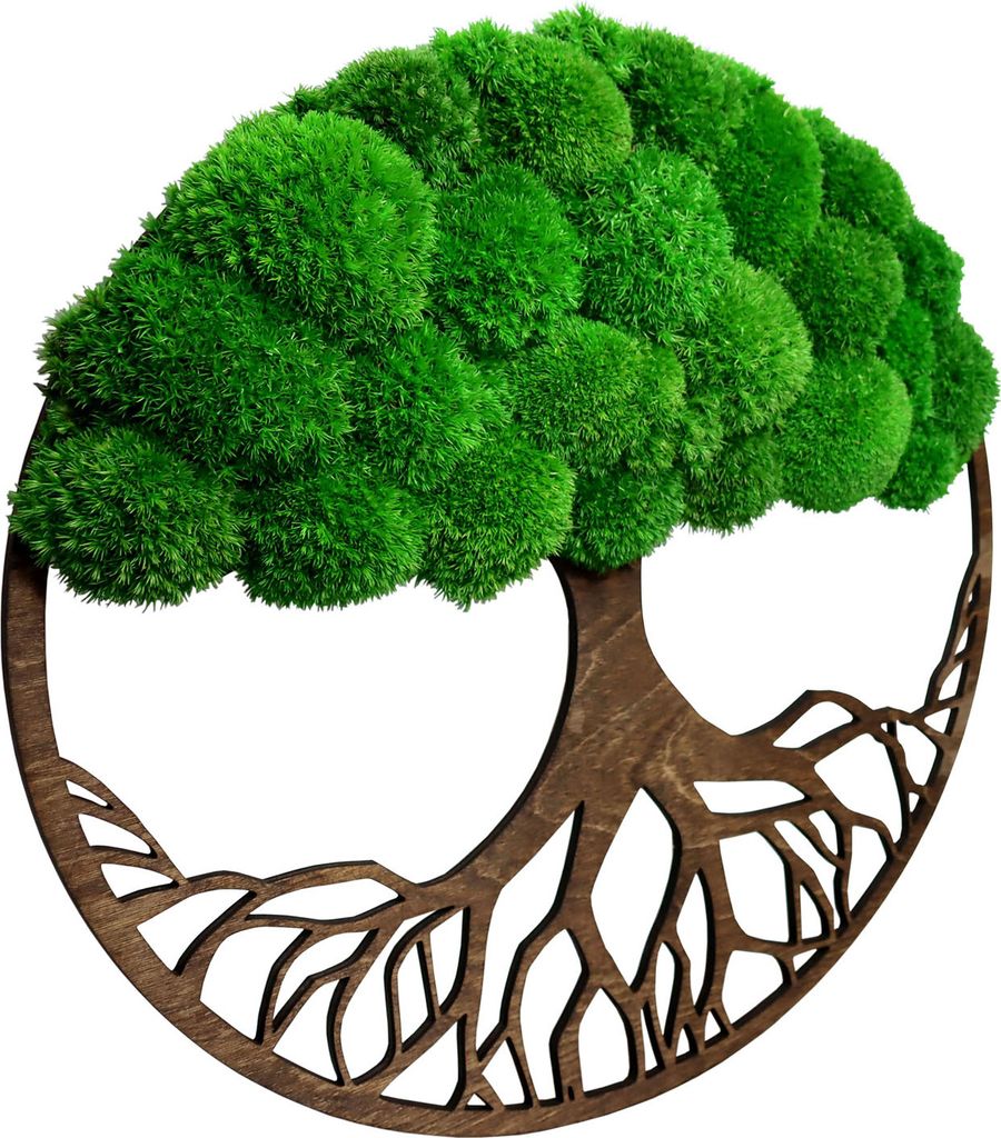 Hello Moss Baum Wanddeko mit Moos - Runder Baum mit einer Krone aus Moos - Wand Deko mit Kugelmoos - Moosbilder für Ihr Haus - verschiedene Große...