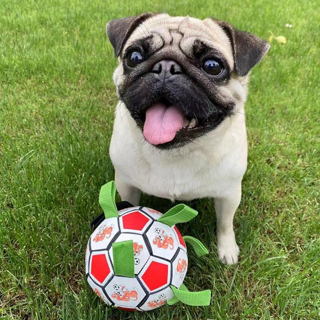 Unzerstörbarer Hundeball, interaktiver Hundeball für drinnen und draußen, mit Luftpumpe (rote Version)