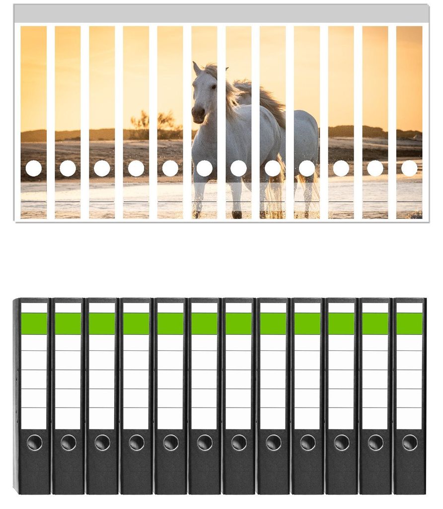 Wallario 12 Stück schmale Ordner inkl. Klebeetiketten mit Motive Pferde im Abendlicht - Set mit Rückenschildern / Ordnerrücken Stickern