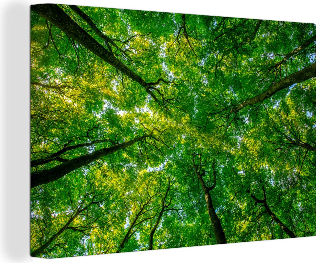 OneMillionCanvasses - Leinwandbilder - 150x100 cm, Wald - Bäume - Grün, Wandbilder Kunstdruck Wanddekoration