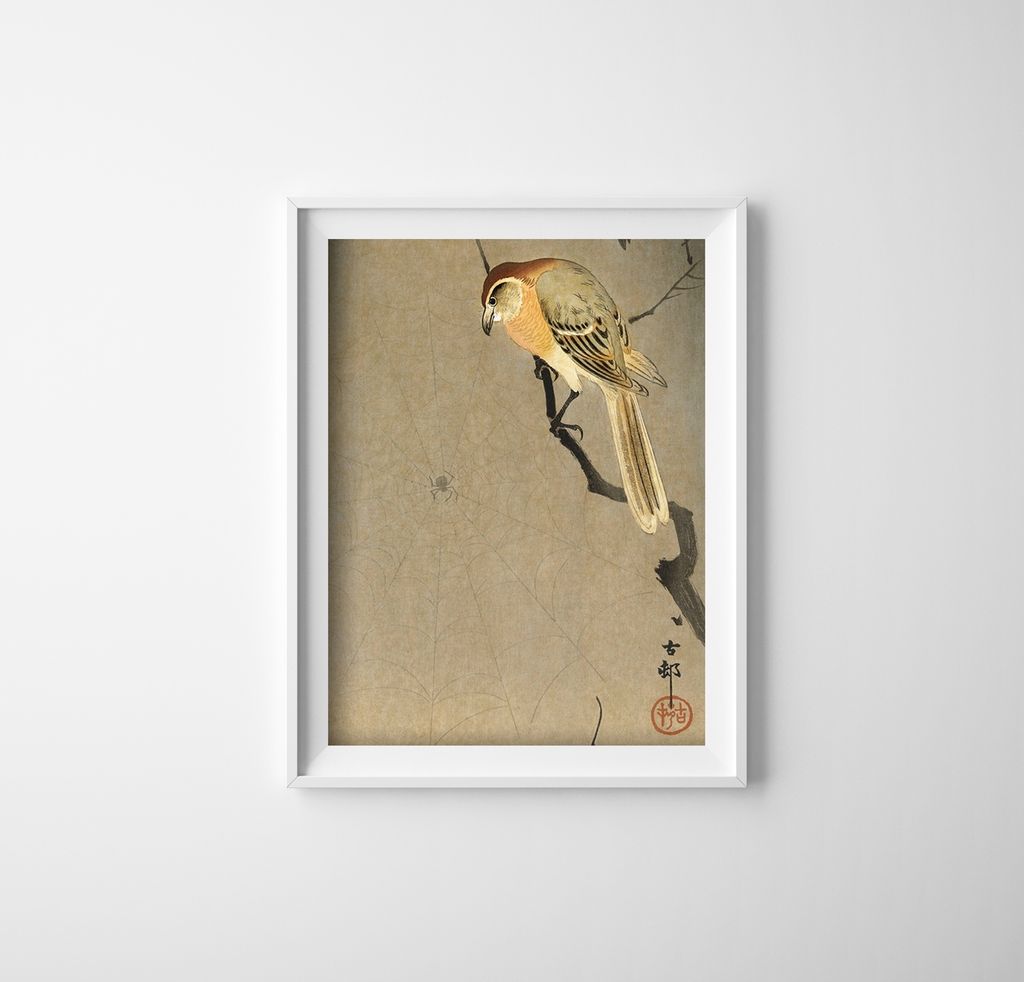 Poster - Canvas - Leinwand - 29,7 cm x 42 cm - Vogel auf einem Ast und Spinne