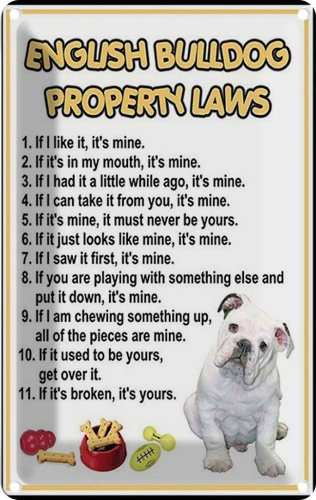 vianmo Blechschild 18x12 cm english bulldog property laws Produktbild 