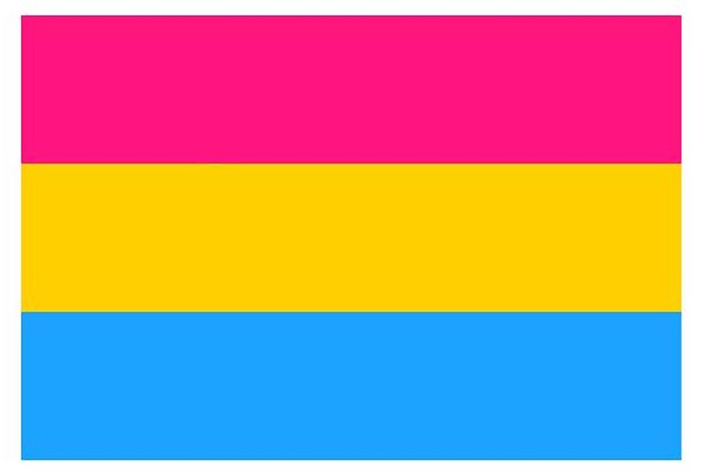 Pansexual Flag Aufkleber / Sticker 5.0 x 7,6 cm / 2 x 3 inch