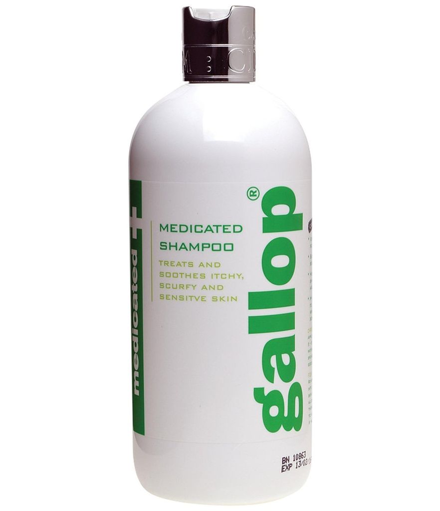 Carr & Day & Martin Gallop Stain Removing Shampoo