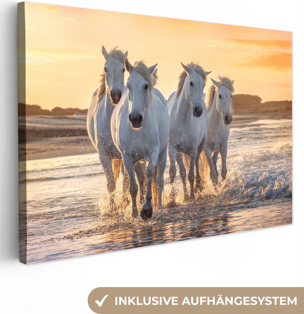 OneMillionCanvasses - Leinwandbilder - 140x90 cm, Pferde - Wasser - Strand - Tiere, Wandbilder Kunstdruck Wanddekoration