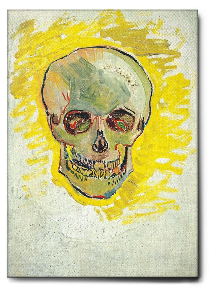 Giallobus - Schädel 1 - Vincent Van Gogh - 35L x 50W cm - Bild - Leinwand mit Standardrahmen