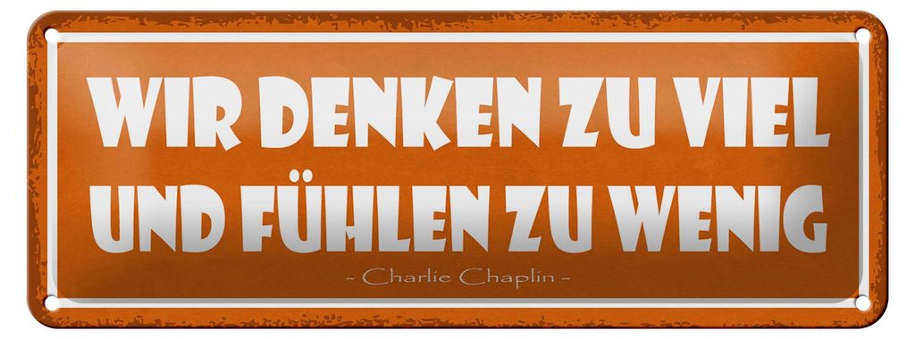 Blechschild Spruch 27x10cm wir denken viel und fühlen wenig Produktbild 