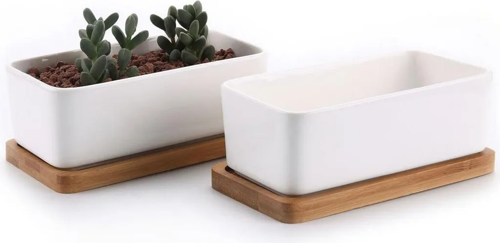 T4U Vasi Ceramica Bianca per Succulente 16,5cm - Set 2 Pezzi Eleganti