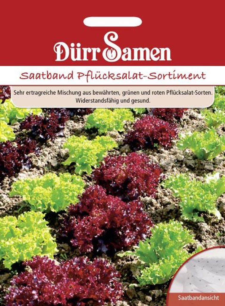 Dürr-Samen - Asortyment sałat z taśmy nasiennej - Nasiona - Zdjęcie produktu 